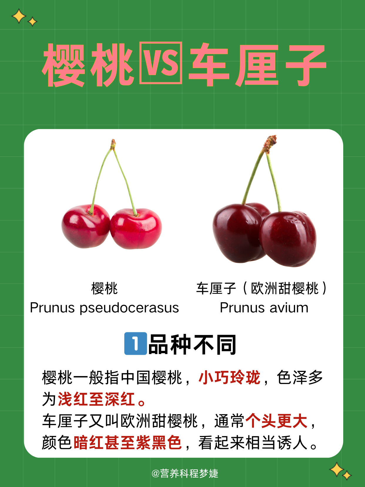 车厘子和樱桃一样吗